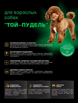 Корм сухой для взрослых собак породы Той-пудель, с ягненком, 12 кг, QUATTRO