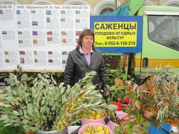 Сад Абраменко в Иркутске Сад Абраменко в Иркутске