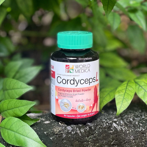 Капсулы для женщин Кордицепс L Cordyceps L World Medica Khaolaor