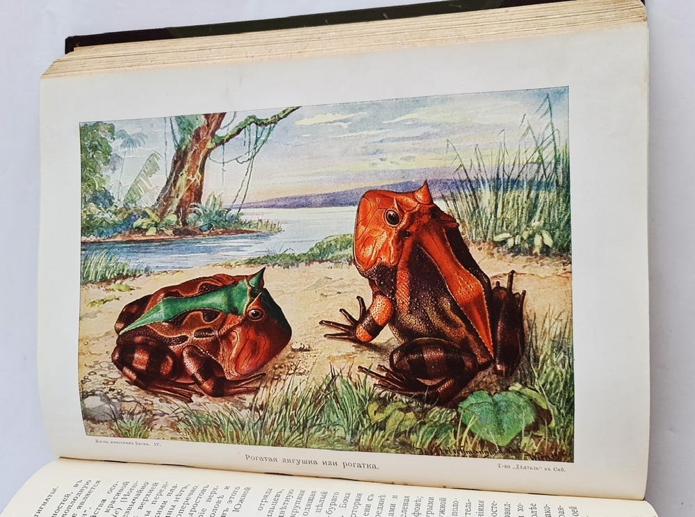"Жизнь животных (в 7-ми томах)". А.Э. Брэм. 1914г.