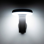 Citilux GARDA CLU01W LED Уличный настенный светильник Графит