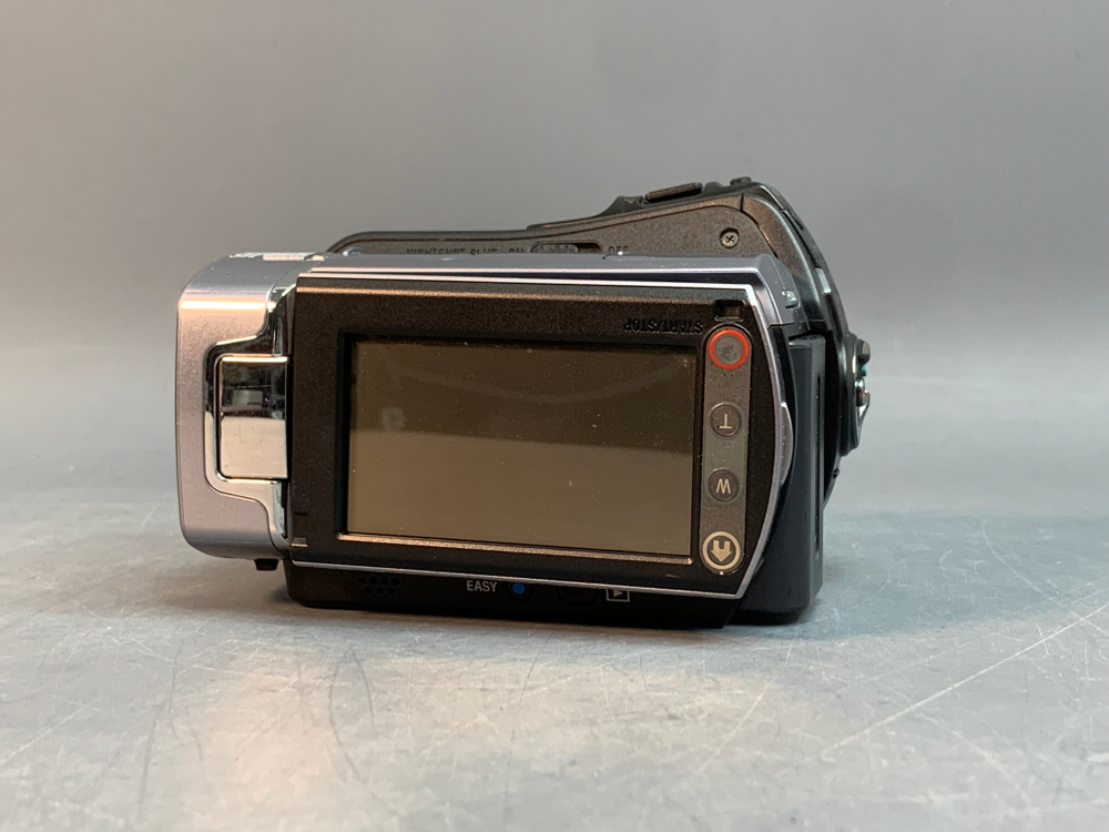 Sony DCR-SR85E