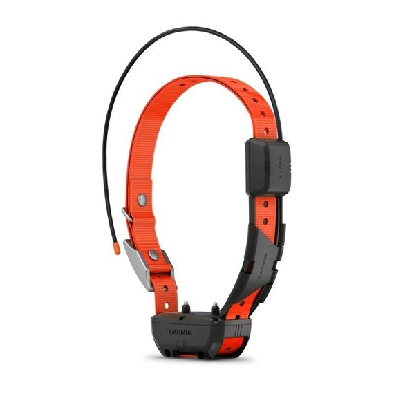 Ошейник Garmin Alpha TT25 (Европейская версия)