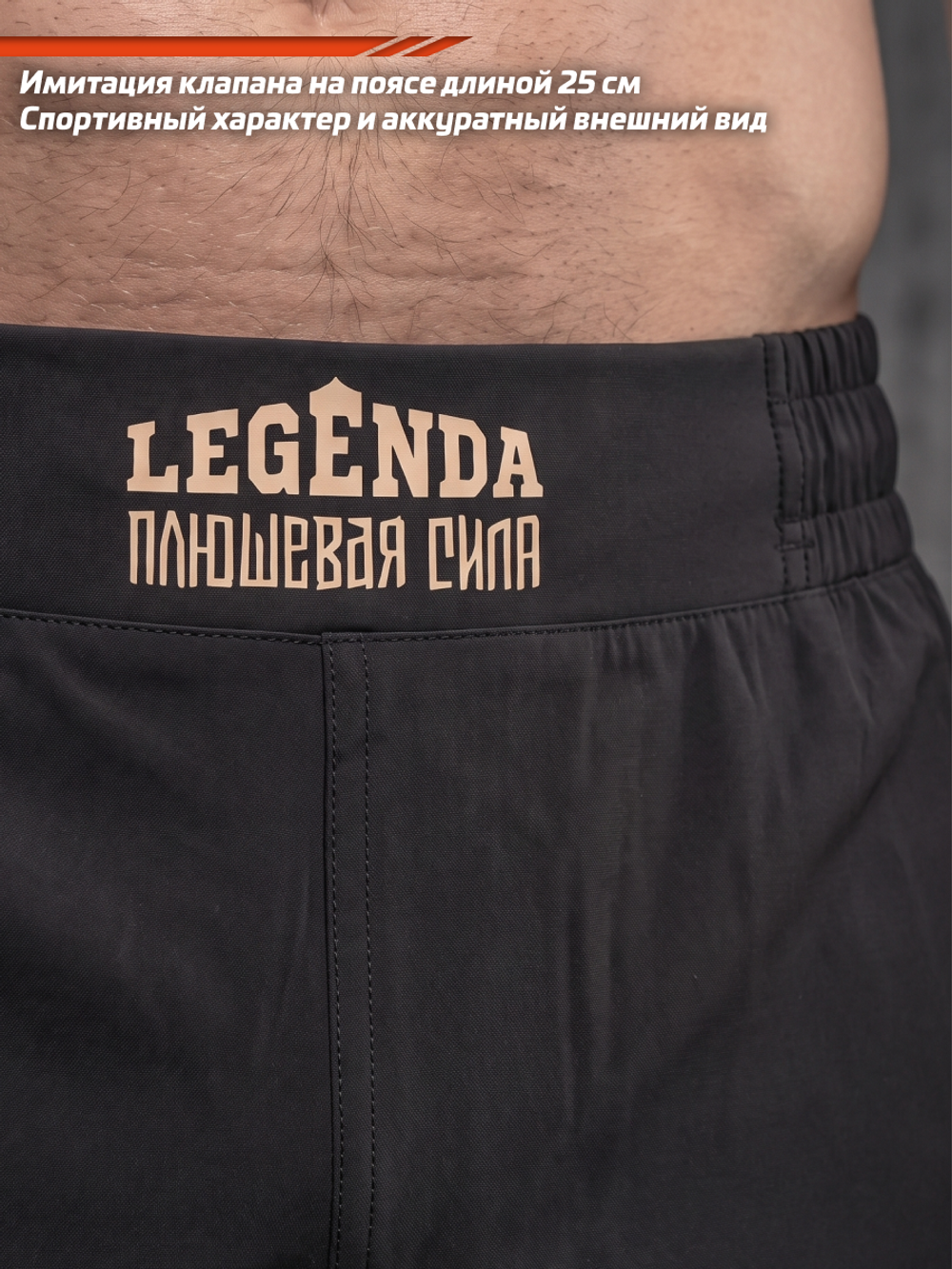 Шорты спортивные тренировочные LEGENDA Плюшевая сила
