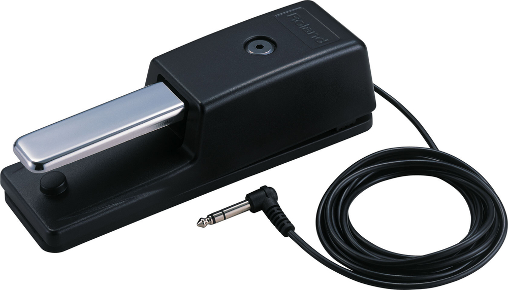 Roland DP-10 SUSTAIN PEDAL
