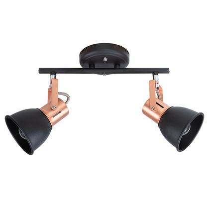Светильник потолочный Arte Lamp Jovi A1677PL-2BK