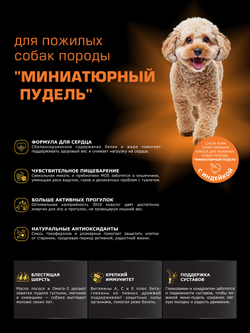 Корм сухой для пожилых собак породы Миниатюрный пудель старше 7 лет, с индейкой, 12 кг, QUATTRO