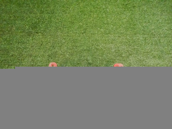 DSCN9239.jpg