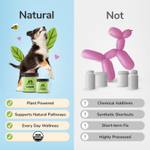 Kin+Kind, Skin + шерсти, суперзелень для собак и кошек, 113,4 г (4 унции)