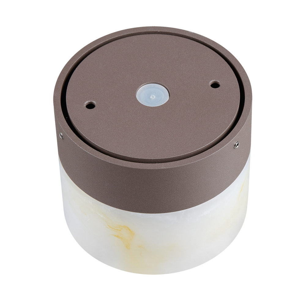 Настенный светодиодный светильник Odeon Light CANDELA 7190/6WL