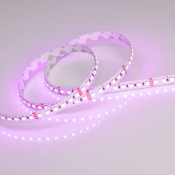 Светодиодная лента RT 2-5000 24V RGB 10mm (4040, 120 LED/m, LUX) (Arlight, 13.2 Вт/м, IP20) 026834