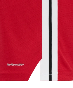 Майка баскетбольная JÖGEL DIVISION PerFormDRY Jersey R2, красный