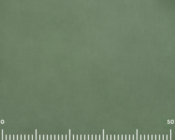 Велюр Fiore olive (Фиоре олив)