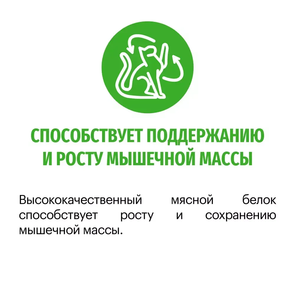 Сухой корм Karmy Sterilized для стерилизованных кошек и кастрированных котов, с индейкой