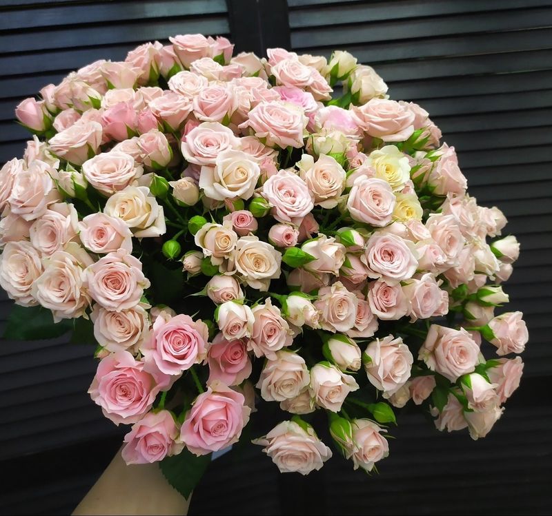 Букет из 41 кустовой розы 50 см #29010 Букет из 41 кустовой розы 50 см #29010