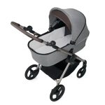 Коляска 2 в 1 Anex IQ Premium