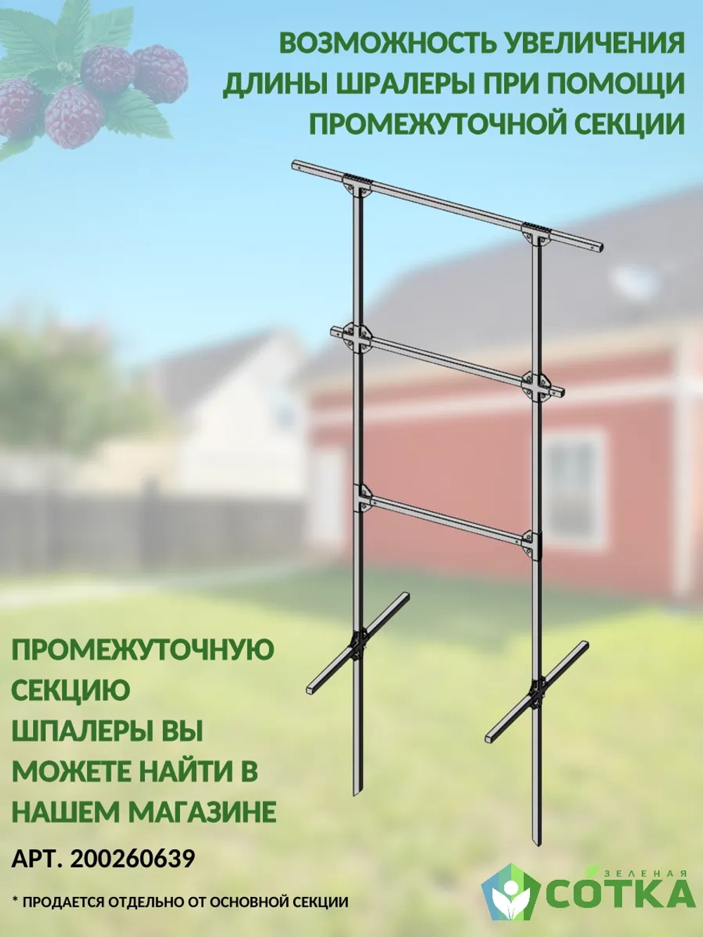 Шпалера для малины, ежевики и винограда