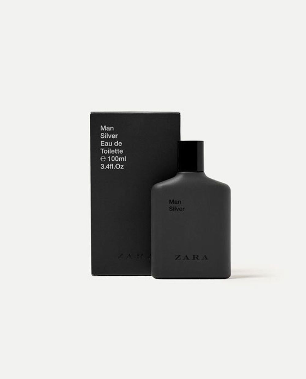 Zara Man Silver
