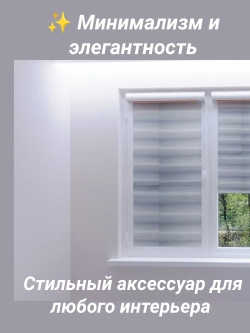 Рулонные шторы День-Ночь 48×120 см