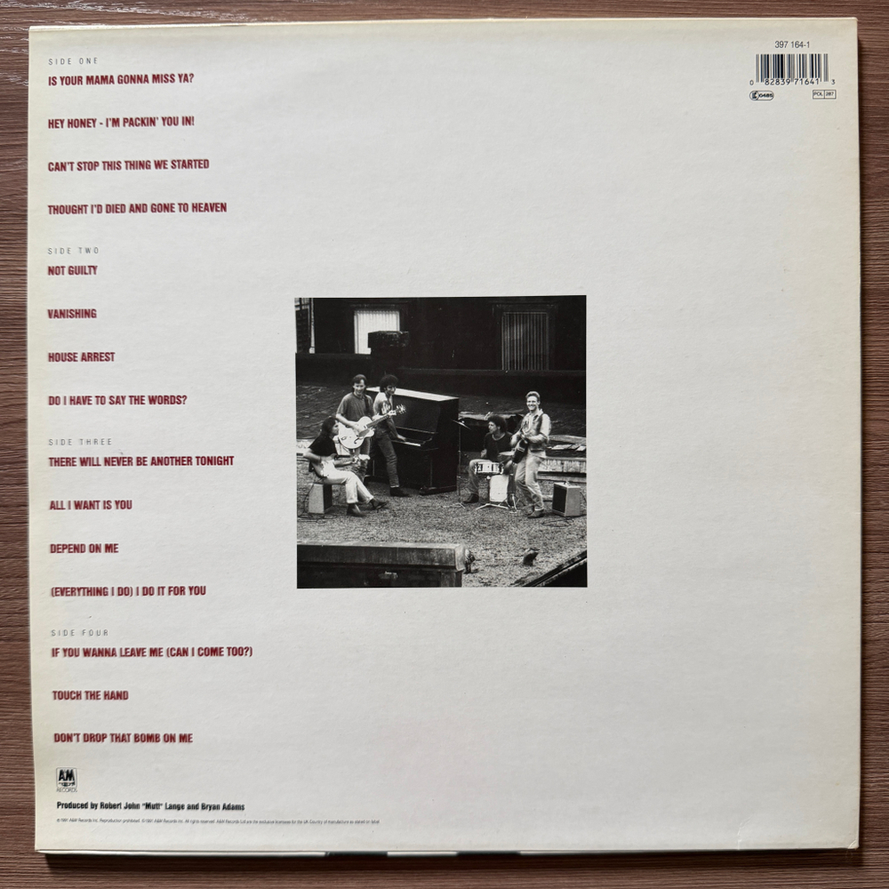 Bryan Adams - Waking Up The Neighbours 2LP (Голландия 1991г.)