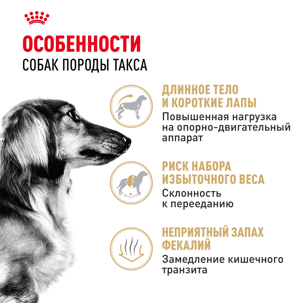 Royal Canin Dashshund Adult Такса Эдалт Корм сухой для взрослых собак породы Такса от 10 месяцев 7,5кг