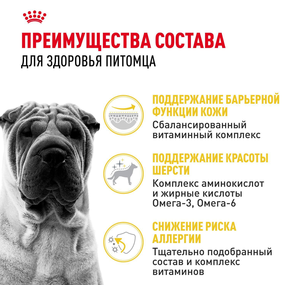 Royal Canin Medium Dermacomfort Медиум Дермакомфорт Корм сухой для взрослых собак средних размеров 10кг