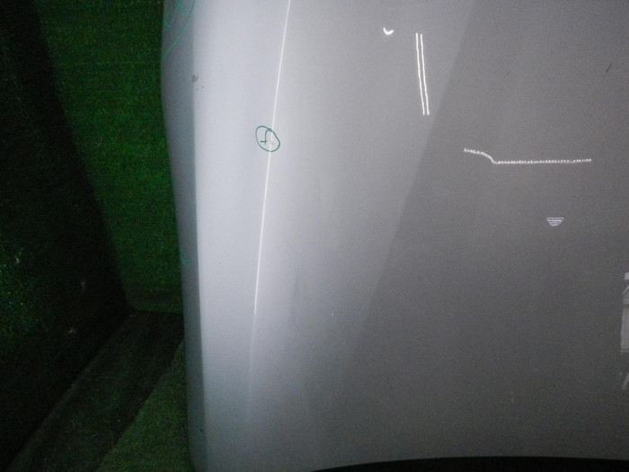 DSCN0653.JPG