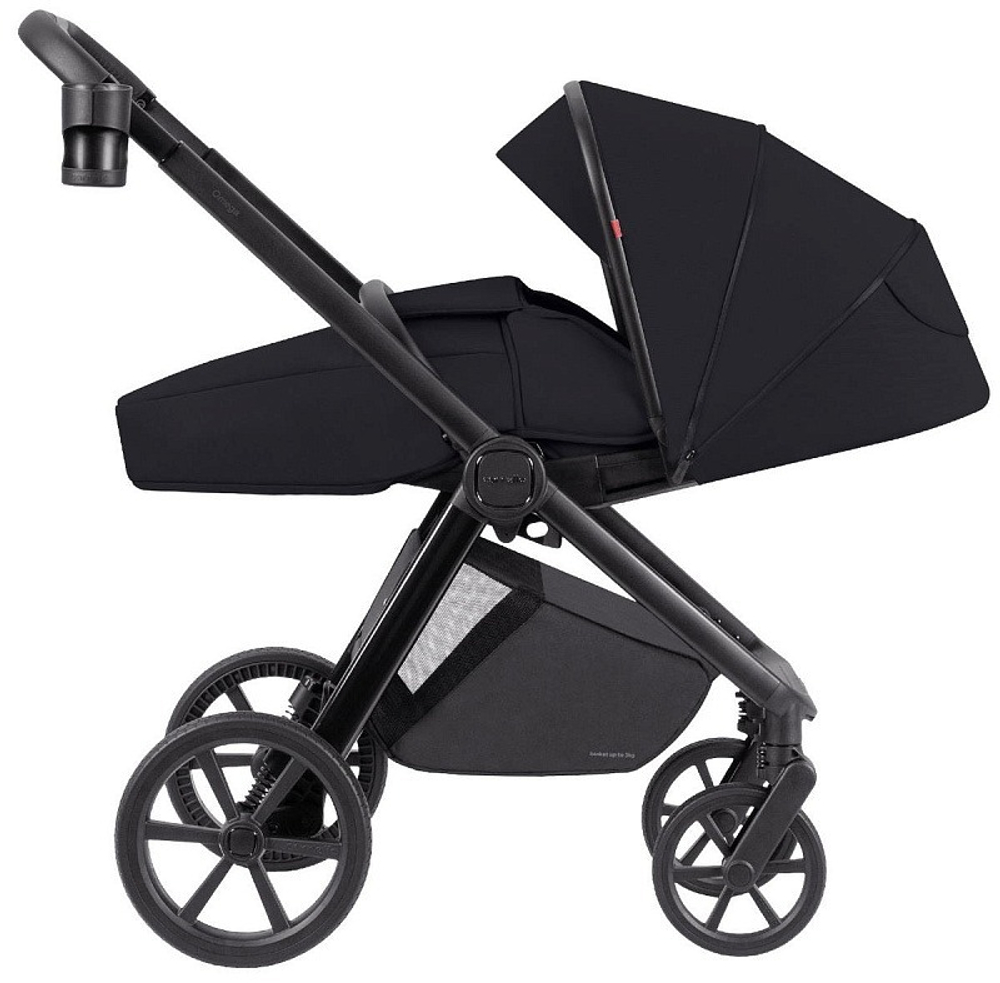Коляска 2 в 1 Carrello Omega+ CRL-6540/1
