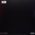 St. Vincent / All Born Screaming (LP)