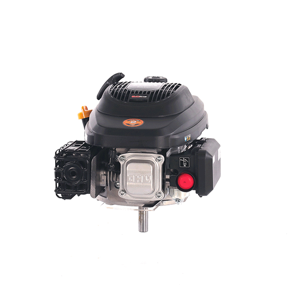 Двигатель бензиновый EVOline XP 225 AE