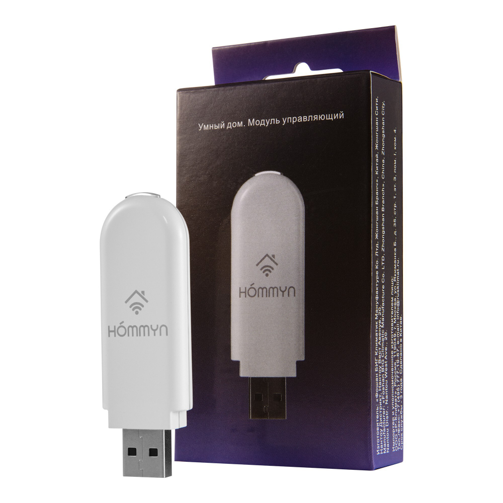 Сплит-система инверторного типа Electrolux Skandi DC EACS/I-09HSK/N3_24Y комплект с Wi-Fi донглом