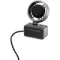 Austrian Audio MiCreator System Set Black
