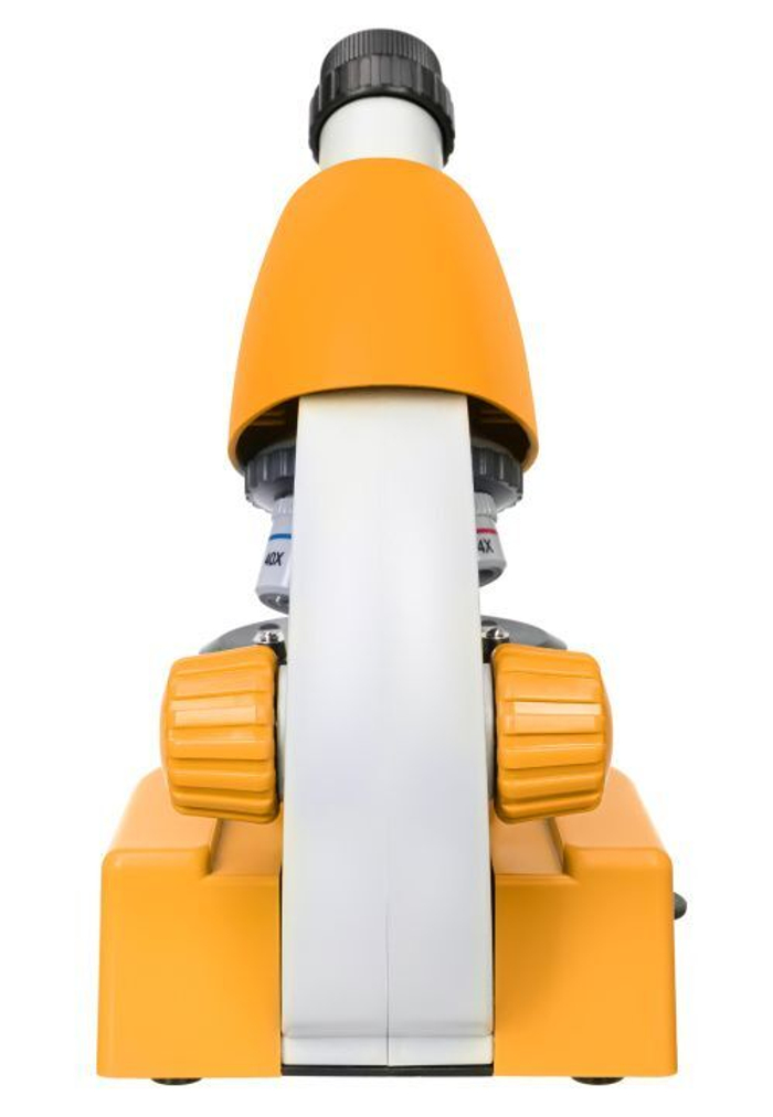 Микроскоп Levenhuk Discovery Micro Solar с книгой