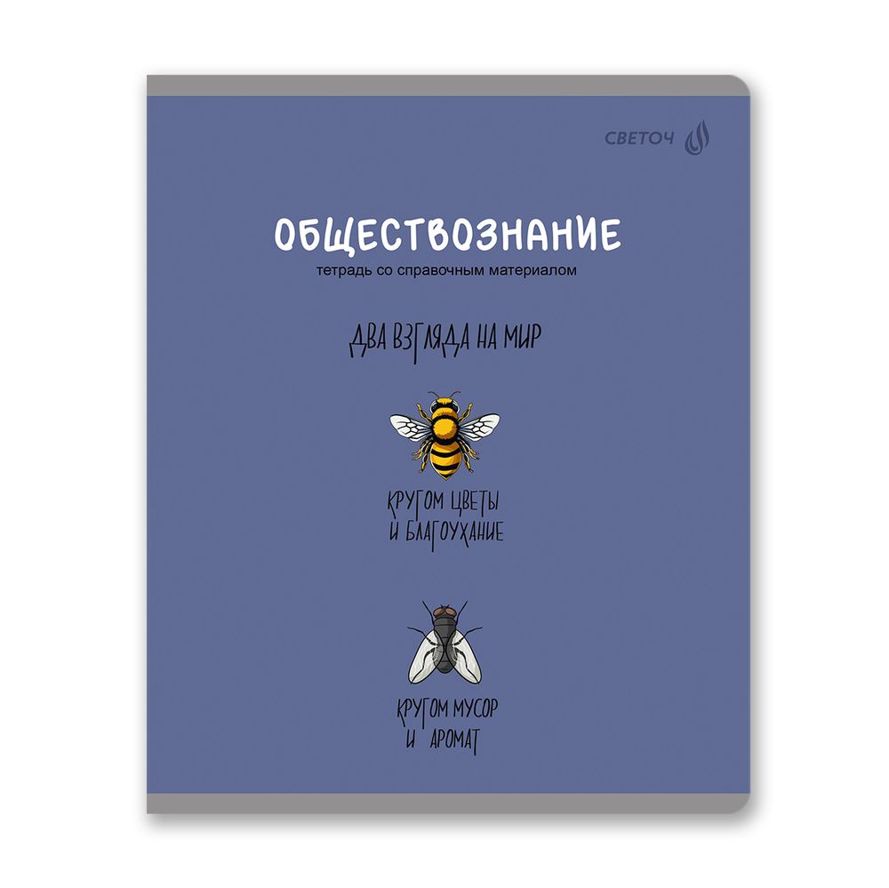 Тетрадь со справочным материалом Большая перемена, выбор.лак, A5 48 л. на скобе 65 г/м², белизна 100% 10 шт клетка, 01820 Большая перемена Обществознание, Светоч Т280