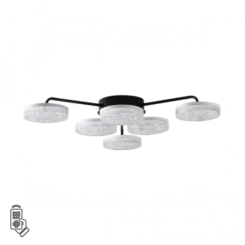 Потолочная светодиодная люстра Lumion DIDANA 8236/6CL
