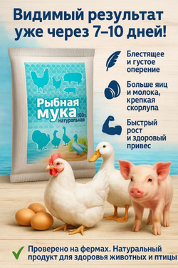 Рыбная мука кормовая добавка для животных, 500 г