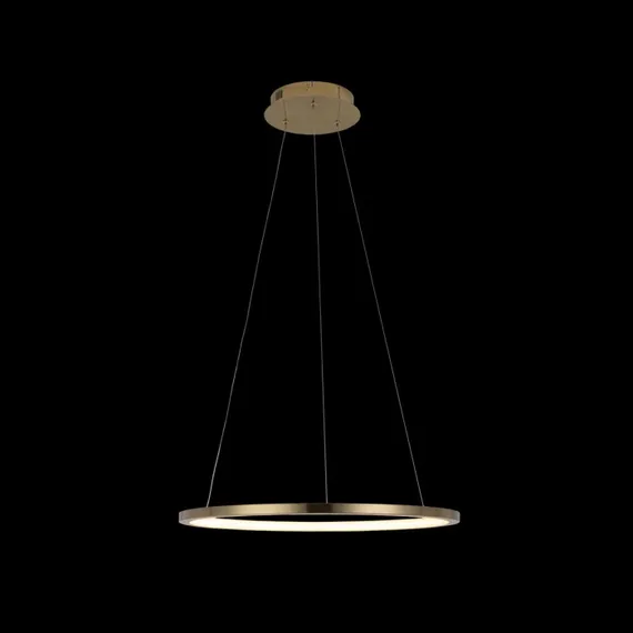 Подвесной светильник Ring 10014M Loft It