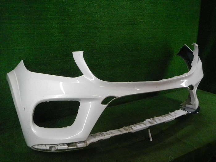 DSCN8245.JPG
