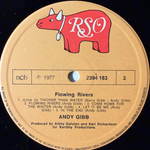 Andy Gibb ‎– Flowing Rivers (Скандинавия 1977г.)