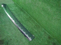 DSCN1380.JPG