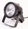 SHOWLIGHT COB PAR30W