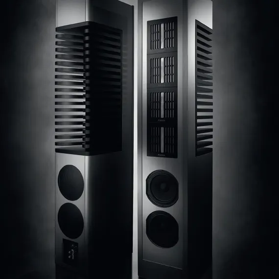 Piega Master Line Source 2 Baffle Anodised Black/Zebrano