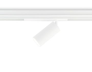 Управляемый диммируемый светильник 24W 3000K-6400K 36° GL1231 WH белый Magnetic 220V Ambrella