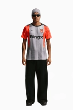 Футболка Nike Chelsea FC 25/26 Academy Pro - серый