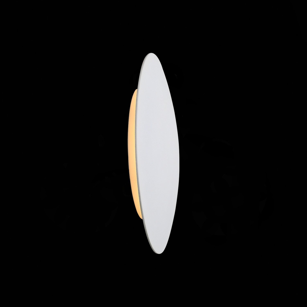 Светильник настенный ST Luce Aureo SL457.511.01