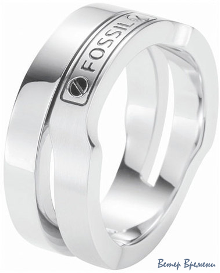 Бижутерия Fossil JF86039040 (210)