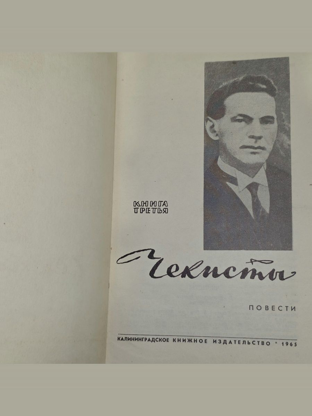 Чекисты. Книга третья
