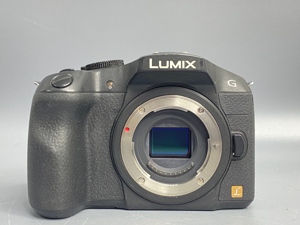 Panasonic Lumix DMC-G6