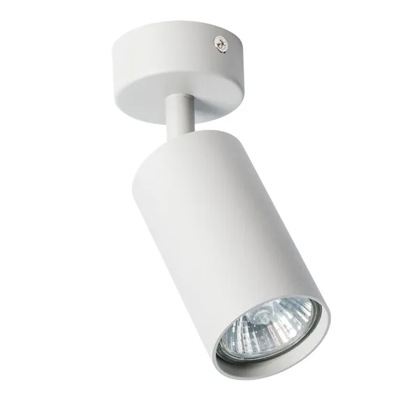 Спот Aquarius A3216PL-1GY Arte Lamp