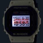 Мужские наручные часы Casio G-Shock DW-5610BEP-2